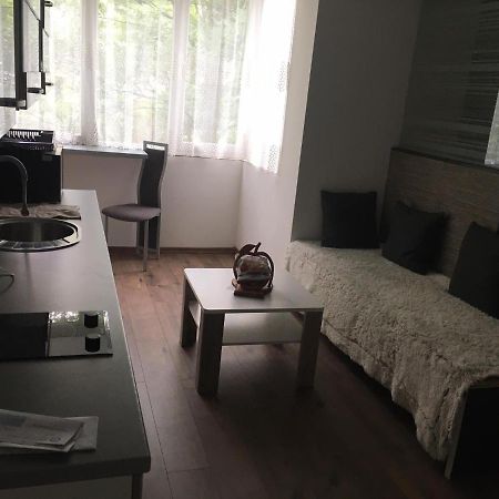 Apartment In The Center Of The Old City, Budzak 14 Sarajevo Exteriér fotografie